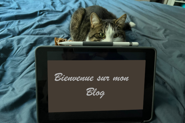 photo titre blog